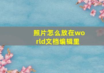 照片怎么放在world文档编辑里