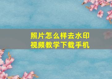 照片怎么样去水印视频教学下载手机