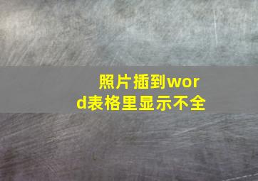 照片插到word表格里显示不全