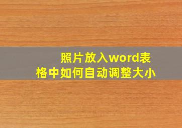 照片放入word表格中如何自动调整大小