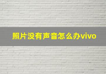 照片没有声音怎么办vivo