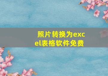 照片转换为excel表格软件免费