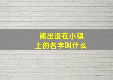 熊出没在小镇上的名字叫什么