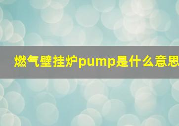 燃气壁挂炉pump是什么意思