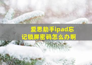 爱思助手ipad忘记锁屏密码怎么办啊