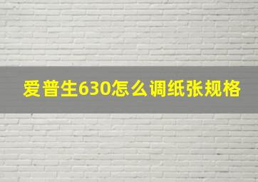 爱普生630怎么调纸张规格