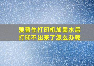 爱普生打印机加墨水后打印不出来了怎么办呢