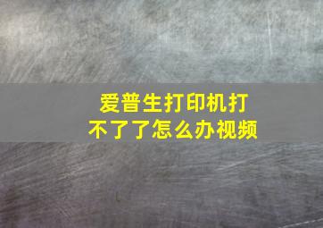 爱普生打印机打不了了怎么办视频