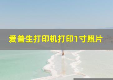 爱普生打印机打印1寸照片