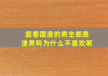 爱看国漫的男生都是渣男吗为什么不喜欢呢