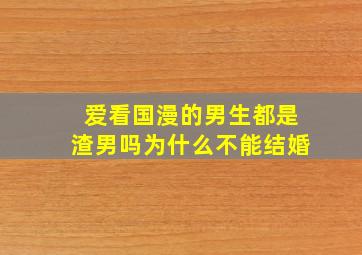 爱看国漫的男生都是渣男吗为什么不能结婚