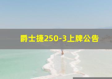 爵士捷250-3上牌公告