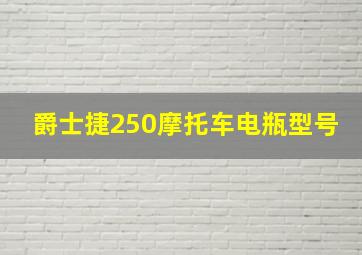 爵士捷250摩托车电瓶型号