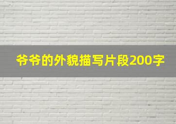 爷爷的外貌描写片段200字