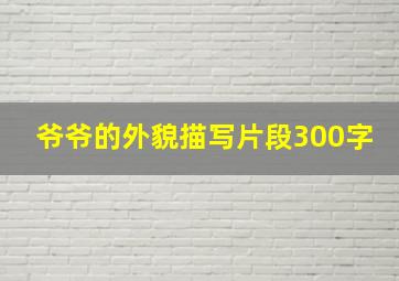 爷爷的外貌描写片段300字