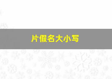 片假名大小写