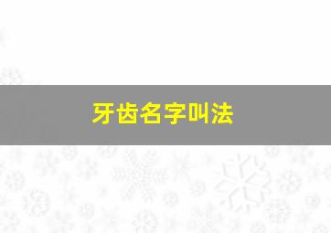 牙齿名字叫法