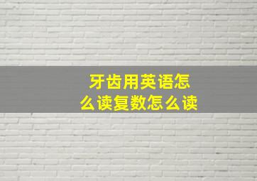 牙齿用英语怎么读复数怎么读