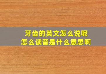 牙齿的英文怎么说呢怎么读音是什么意思啊