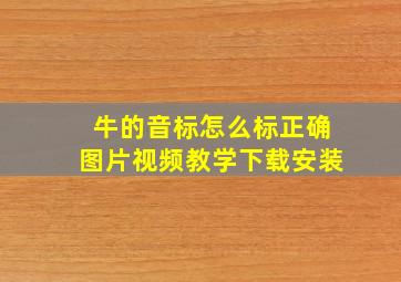 牛的音标怎么标正确图片视频教学下载安装