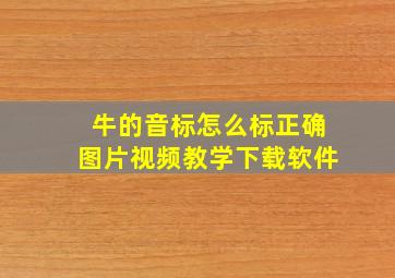 牛的音标怎么标正确图片视频教学下载软件