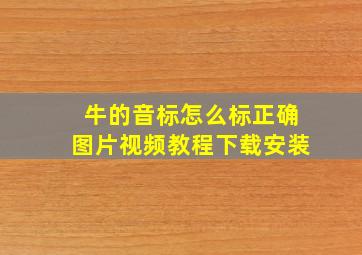 牛的音标怎么标正确图片视频教程下载安装