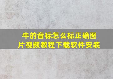 牛的音标怎么标正确图片视频教程下载软件安装