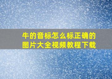 牛的音标怎么标正确的图片大全视频教程下载