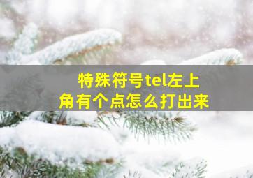 特殊符号tel左上角有个点怎么打出来