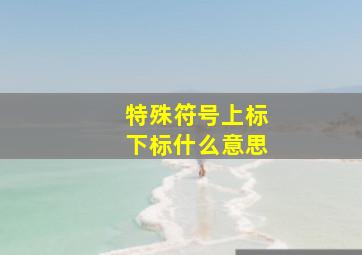 特殊符号上标下标什么意思