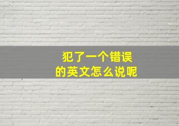 犯了一个错误的英文怎么说呢