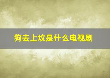 狗去上坟是什么电视剧