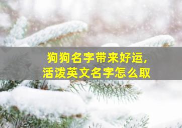 狗狗名字带来好运,活泼英文名字怎么取