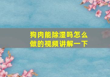 狗肉能除湿吗怎么做的视频讲解一下