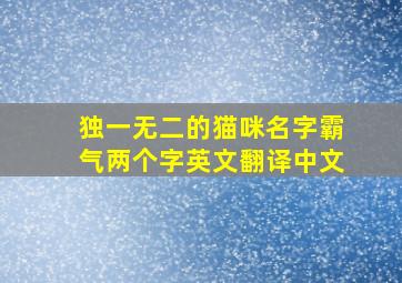 独一无二的猫咪名字霸气两个字英文翻译中文