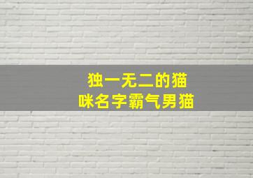 独一无二的猫咪名字霸气男猫