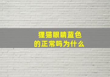 狸猫眼睛蓝色的正常吗为什么