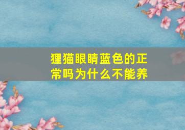 狸猫眼睛蓝色的正常吗为什么不能养