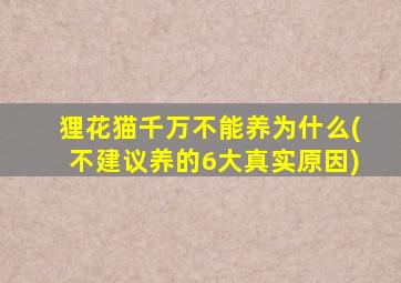 狸花猫千万不能养为什么(不建议养的6大真实原因)