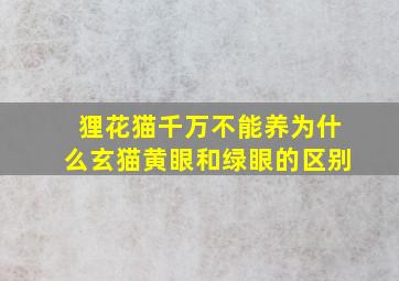 狸花猫千万不能养为什么玄猫黄眼和绿眼的区别