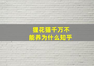 狸花猫千万不能养为什么知乎