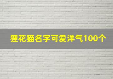 狸花猫名字可爱洋气100个