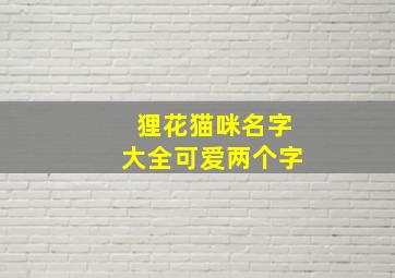 狸花猫咪名字大全可爱两个字