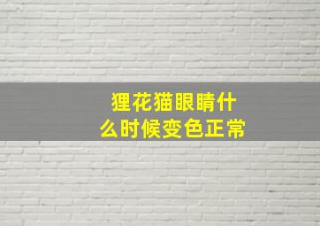 狸花猫眼睛什么时候变色正常