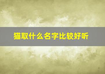 猫取什么名字比较好听