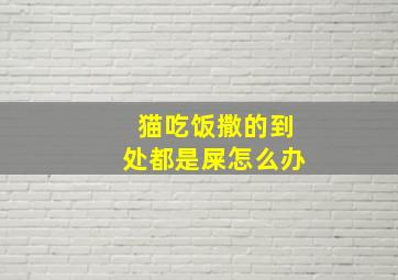 猫吃饭撒的到处都是屎怎么办