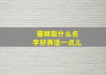 猫咪取什么名字好养活一点儿