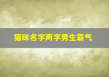 猫咪名字两字男生霸气