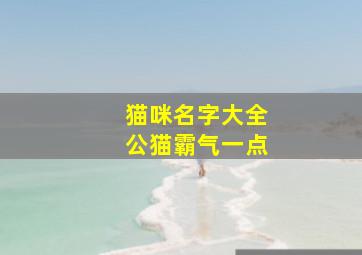 猫咪名字大全公猫霸气一点