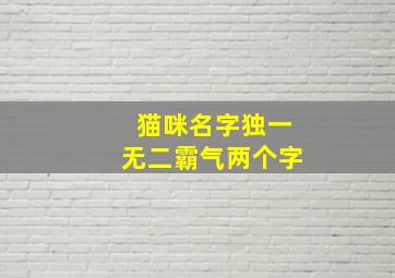 猫咪名字独一无二霸气两个字